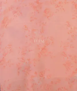 peach-kora-organza-printed-saree-t697621-t697621-c