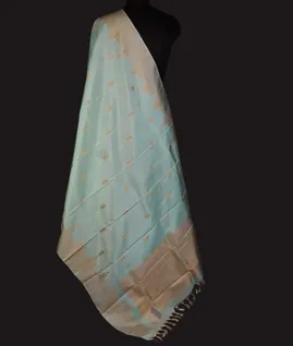 light-bluish-green-kanjivaram-silk-dupatta-t678617-1-t678617-1-b