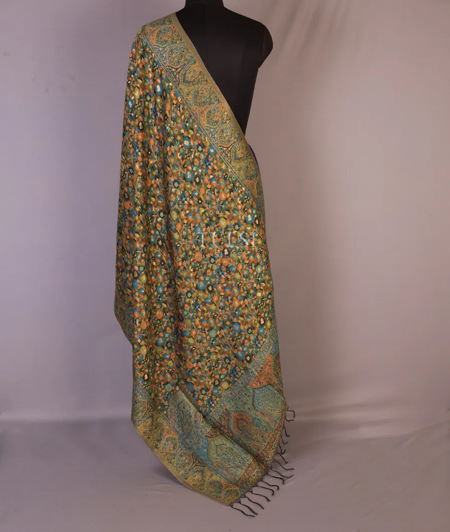 green-kashmir-kani-silk-dupatta-t662142-1-t662142-1-b