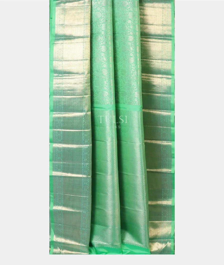 green-kanjivaram-silk-saree-t581348-t581348-b