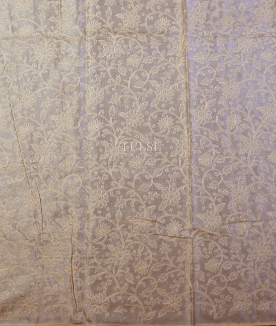 multicolour-tussar-embroidery-saree-t716386-t716386-c