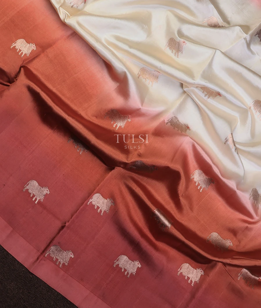 multicolour-banaras-silk-saree-t717575-t717575-d