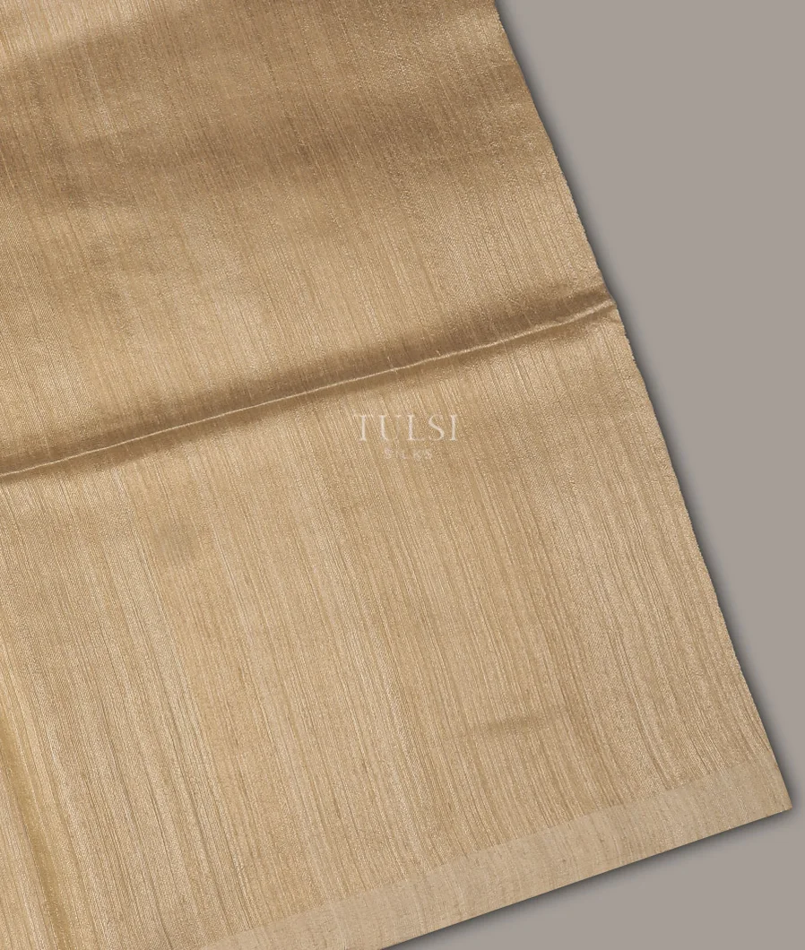 Beige Handwoven Tussar Saree  T702123-image