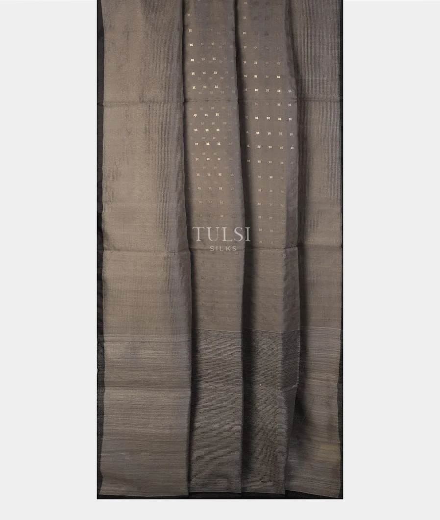 grey-handwoven-tussar-saree-t713516-t713516-b