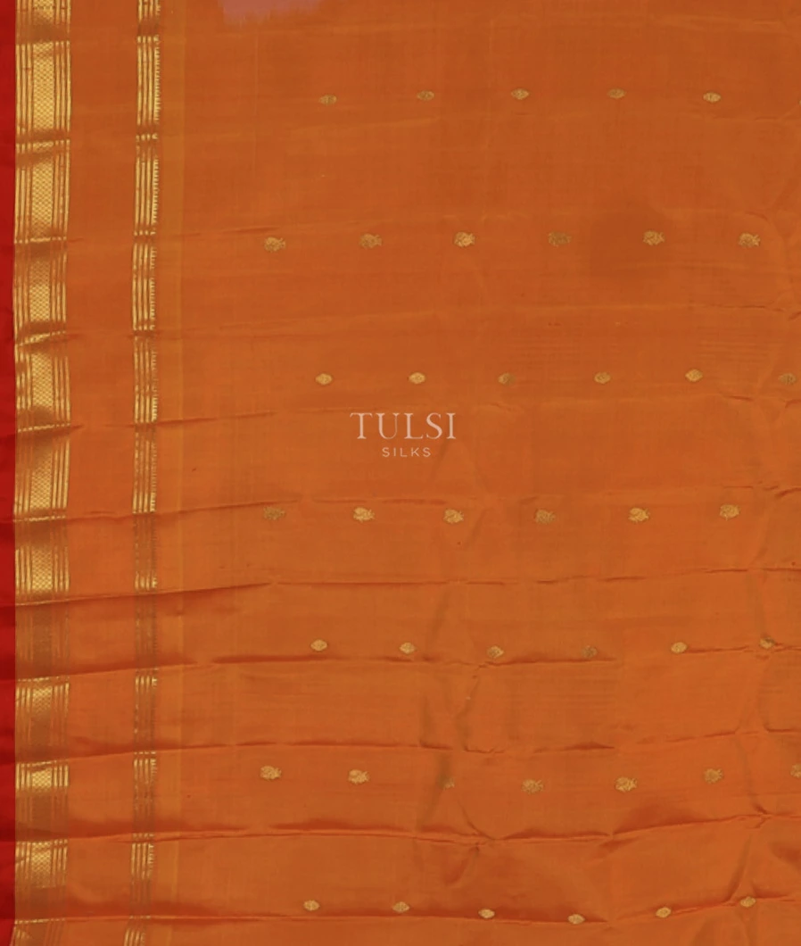 off-white-gadwal-silk-saree-t718862-t718862-c