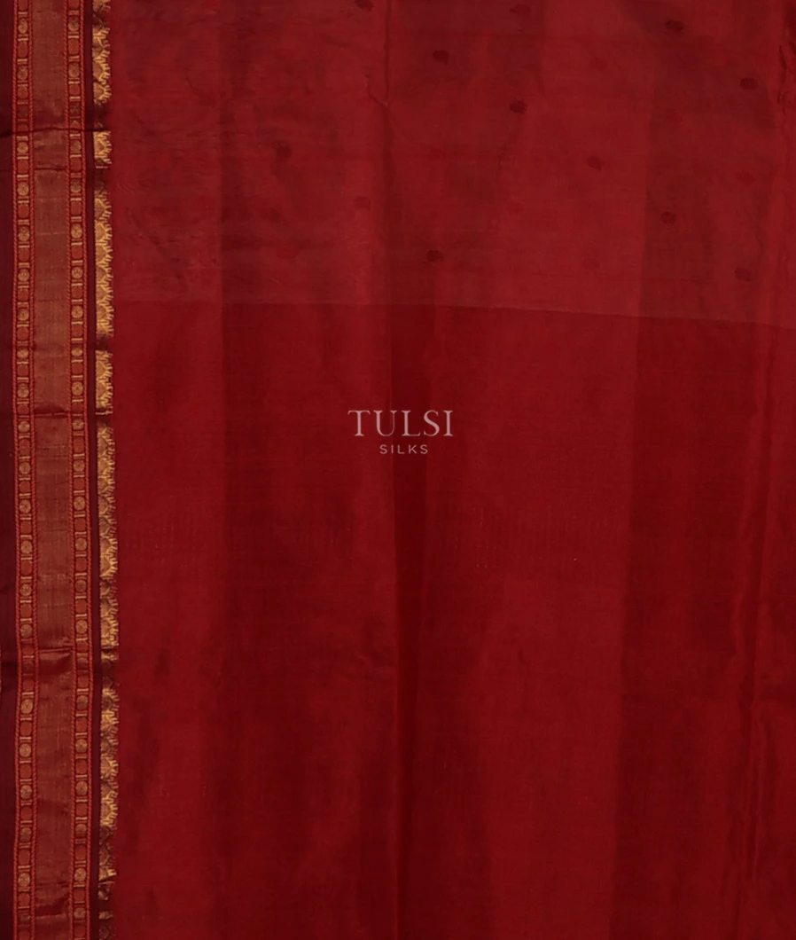 off-white-silk-cotton-saree-t719363-t719363-c