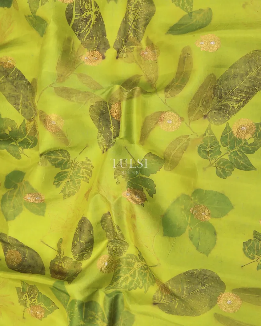 green-gadwal-silk-saree-t720439-t720439-f