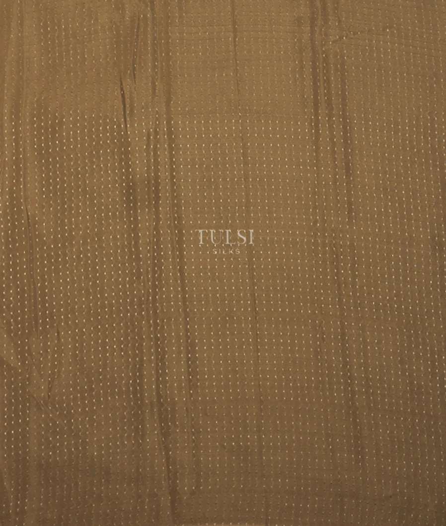 beige-tissue-georgette-silk-embroidery-saree-t715775-t715775-c