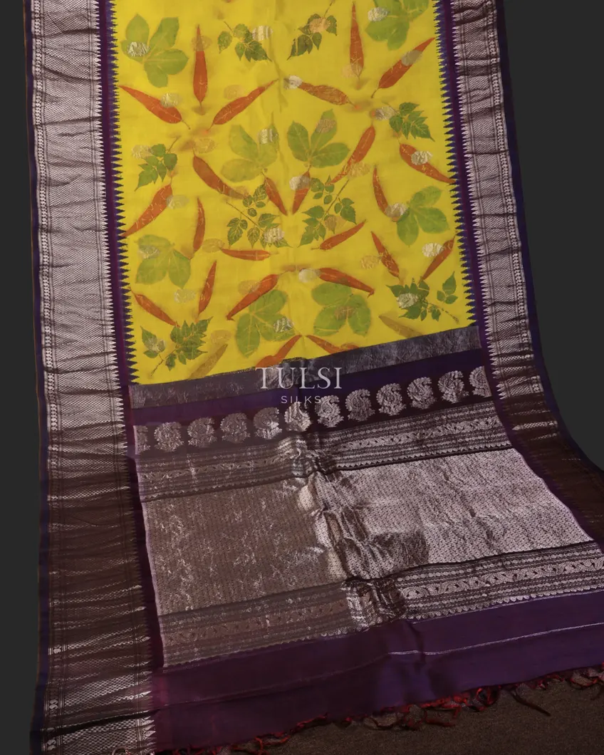 greenish-yellow-gadwal-silk-saree-t720441-t720441-e