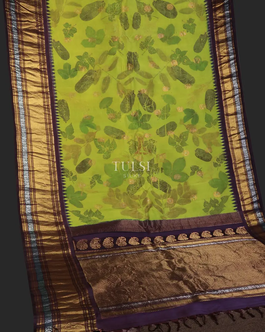 green-gadwal-silk-saree-t720439-t720439-e