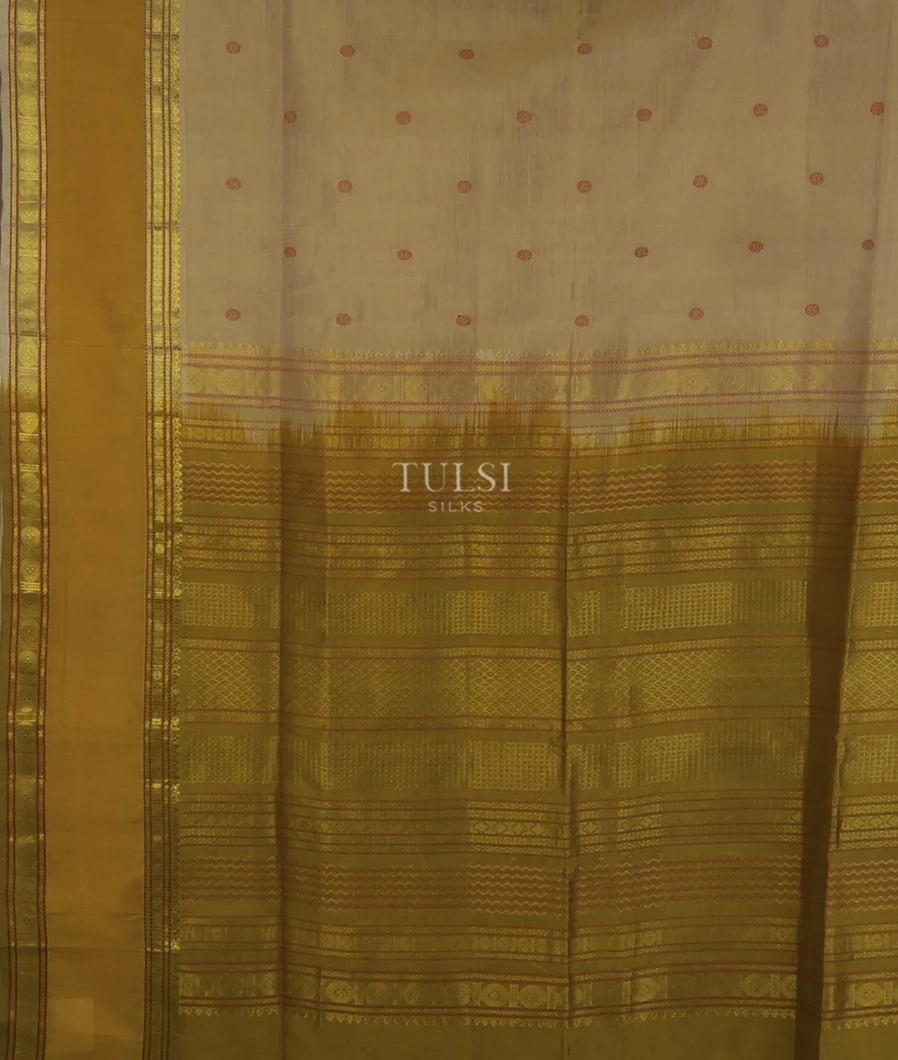 beige-silk-cotton-saree-t719373-t719373-d