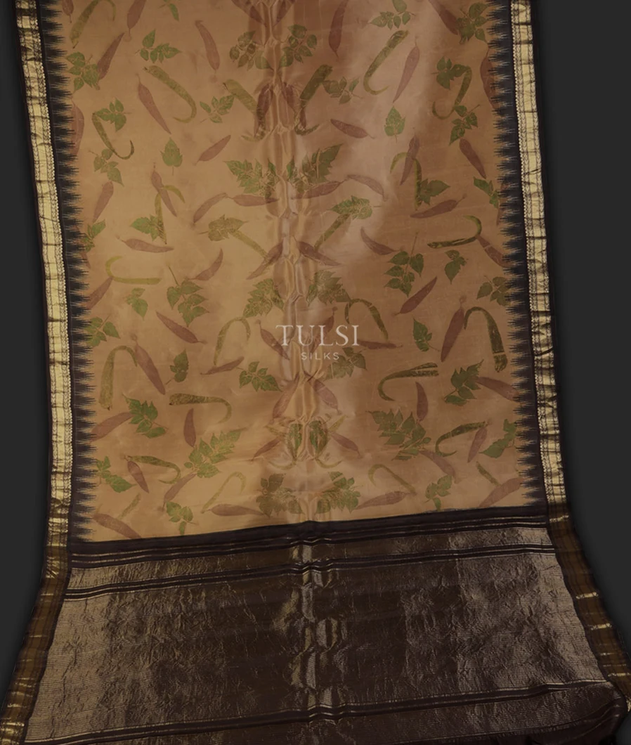 beige-gadwal-silk-saree-t720428-t720428-f