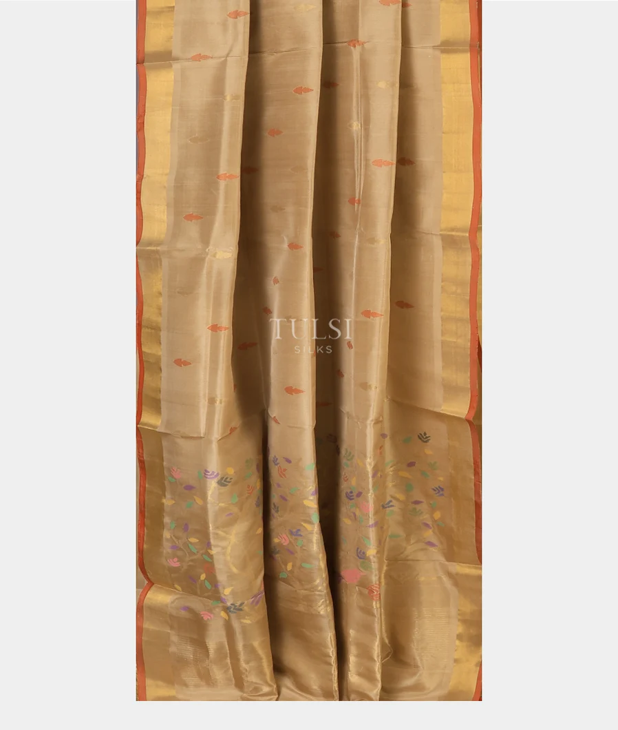 beige-uppada-silk-saree-t709188-t709188-b