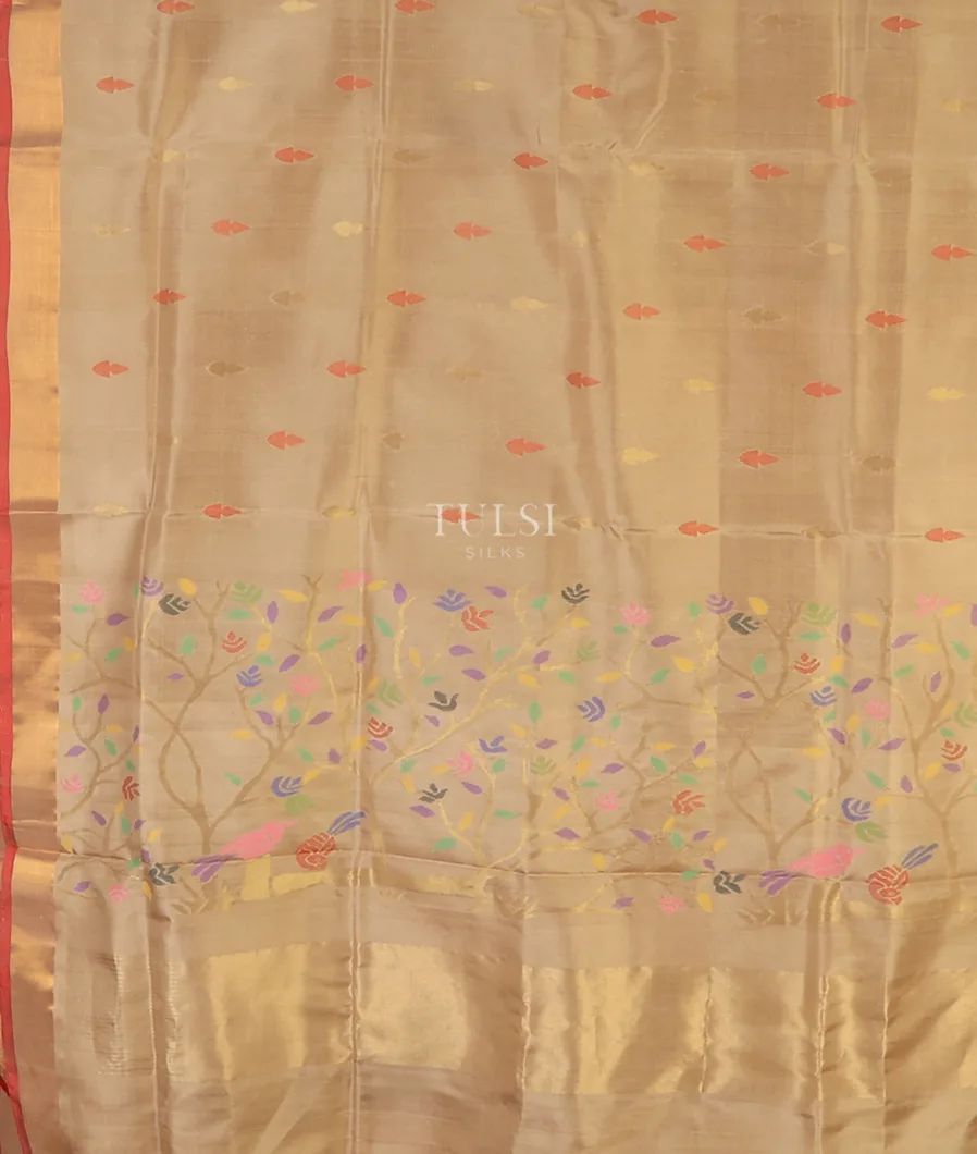 beige-uppada-silk-saree-t709188-t709188-d