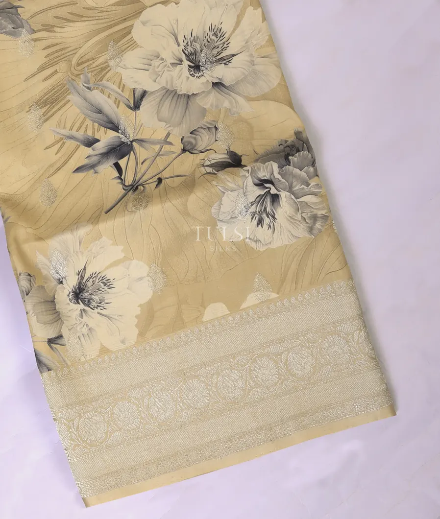 Beige Banaras Kathan Silk Saree T619022-image