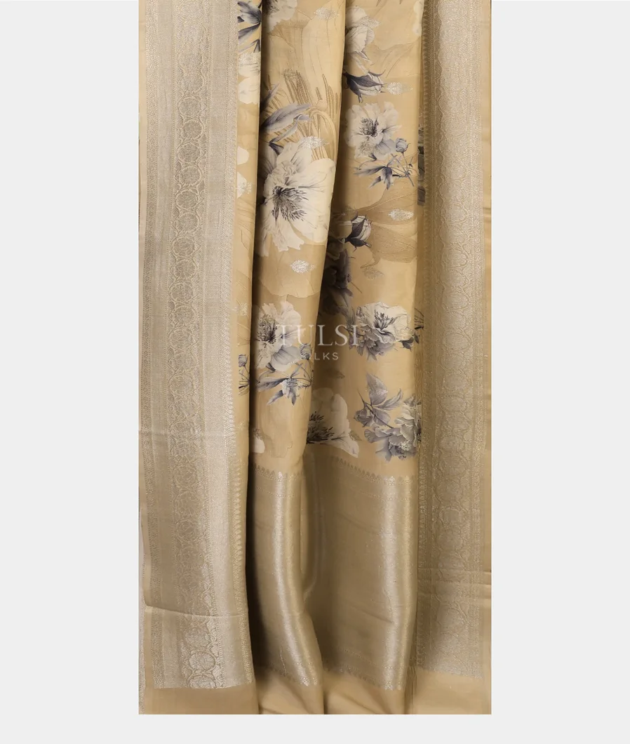 beige-banaras-kathan-silk-saree-t619022-t619022-b