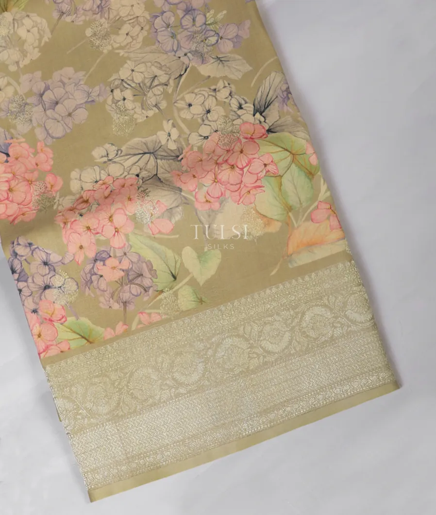 Greenish Grey Banaras Kathan Silk Saree T555140-image