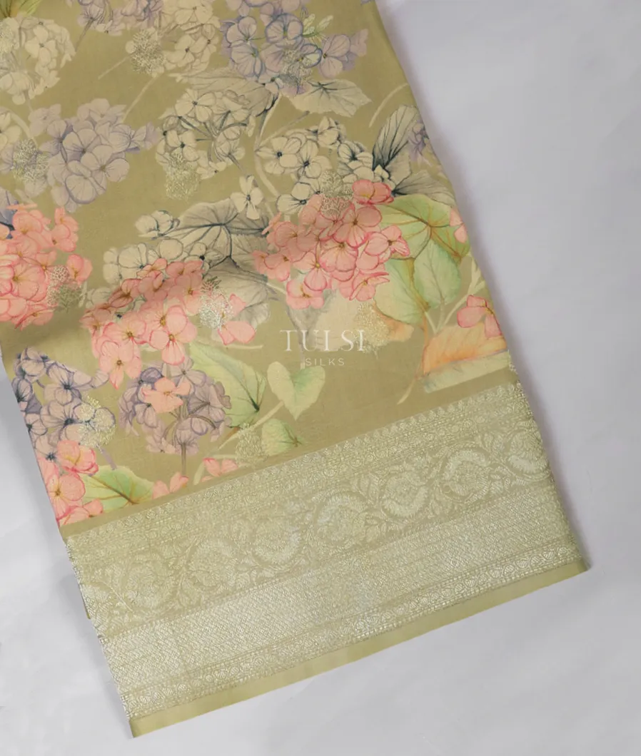 Greenish Beige Banaras Kathan Silk Saree T555140-image
