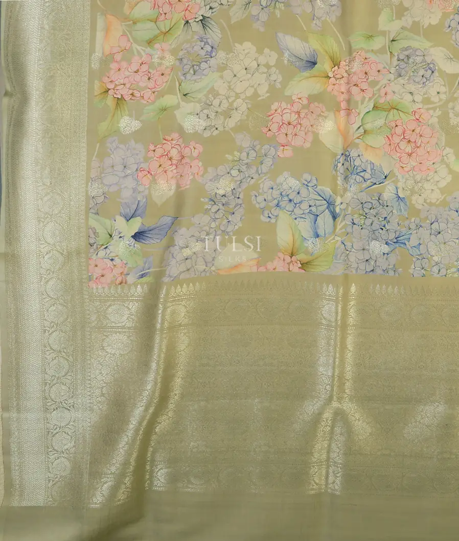 greenish-beige-banaras-kathan-silk-saree-t555140-t555140-d