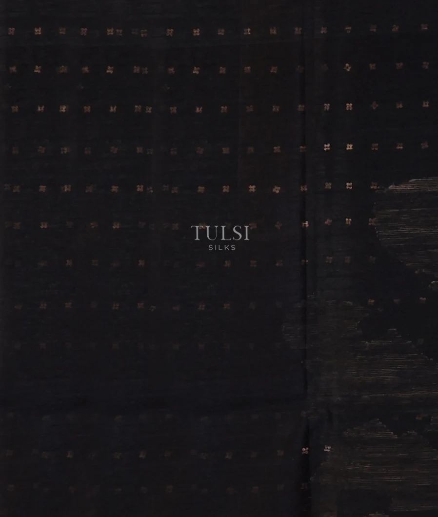 black-tussar-organza-saree-t707962-t707962-c