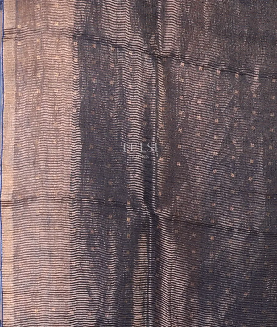 blue-tissue-organza-printed-saree-t694888-t694888-c