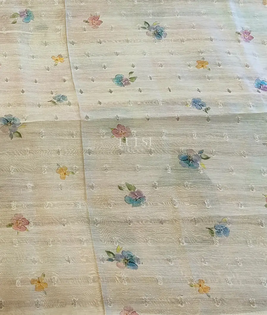 multicolour-kora-organza-printed-saree-t689441-t689441-c