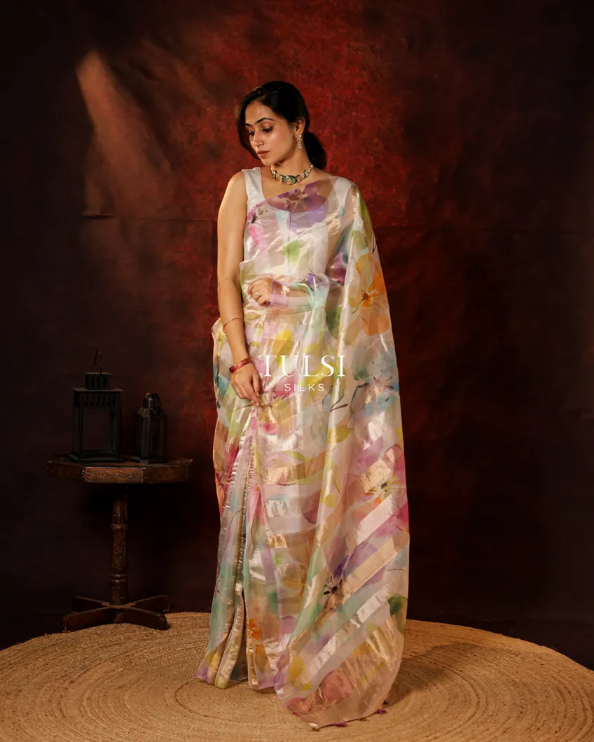 multicolour-kora-organza-printed-saree-t689441-t689441-h