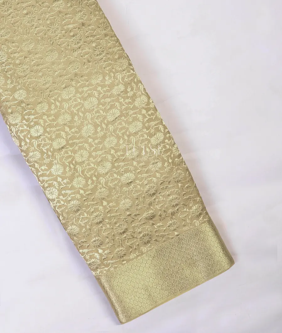 Beige Mysore Crepe Silk Saree T682859-1-image