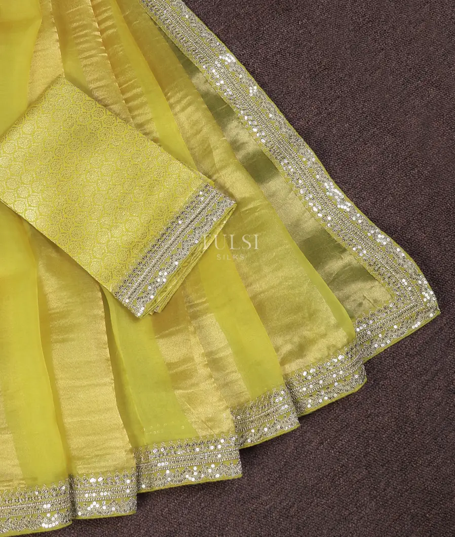 green-kora-organza-embroidery-saree-t691265-t691265-b