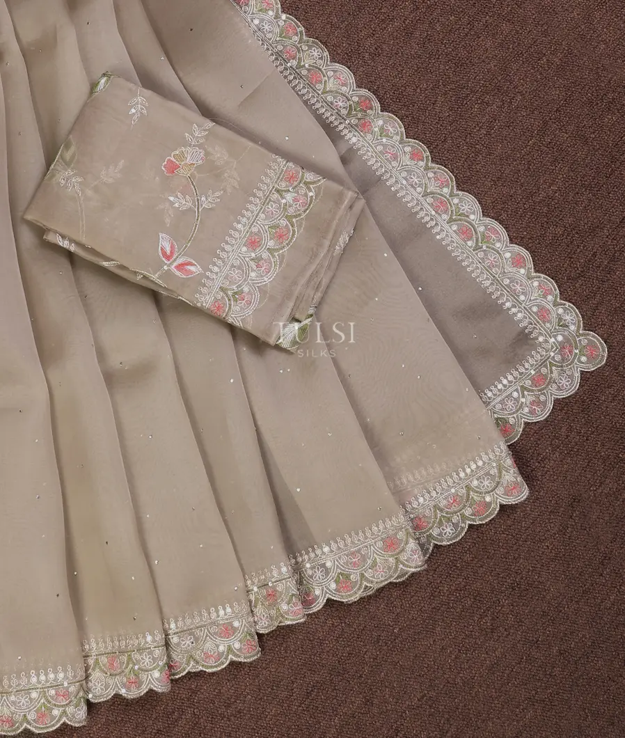 beige-kora-organza-embroidery-saree-t711037-t711037-b