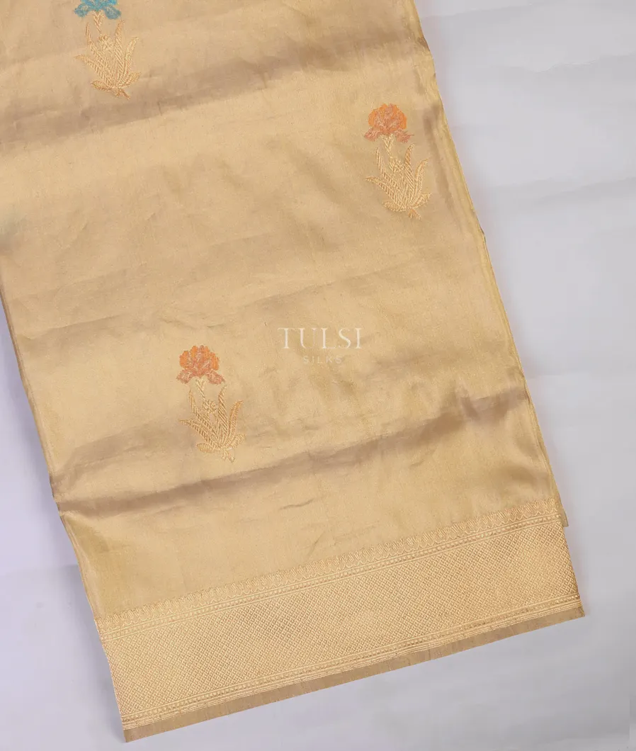 Beige Banaras Tissue Silk Saree T594762-image