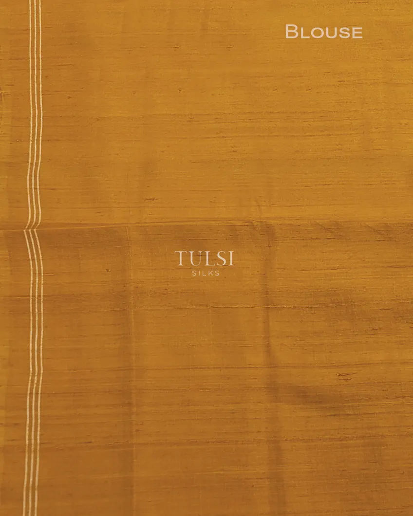 green-patola-silk-saree-t707848-t707848-e