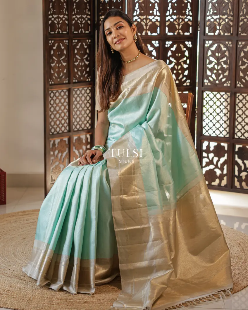 pastel-blue-kanjivaram-silk-saree-t719245-t719245-k