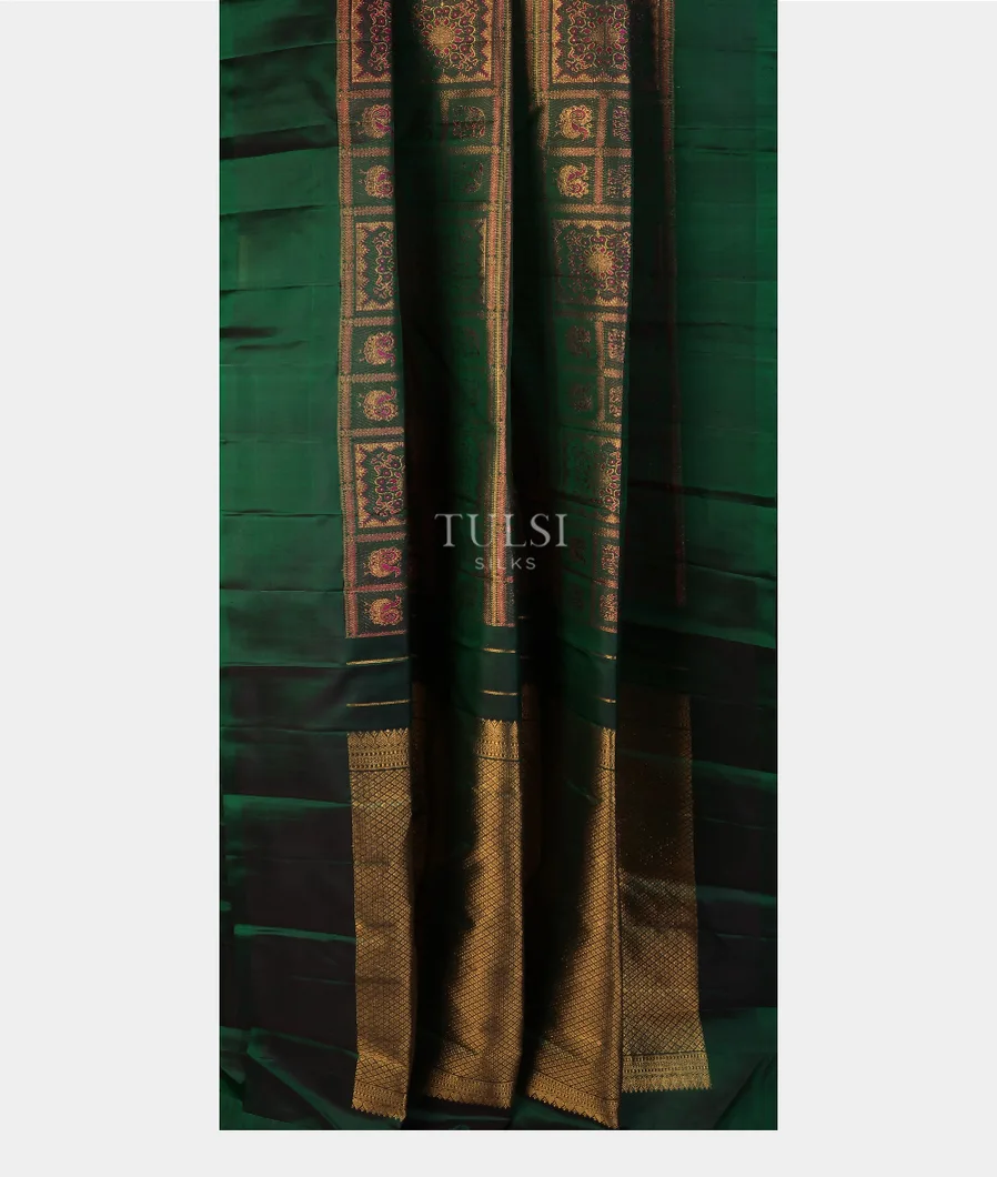 green-kanjivaram-silk-saree-t728487-t728487-b