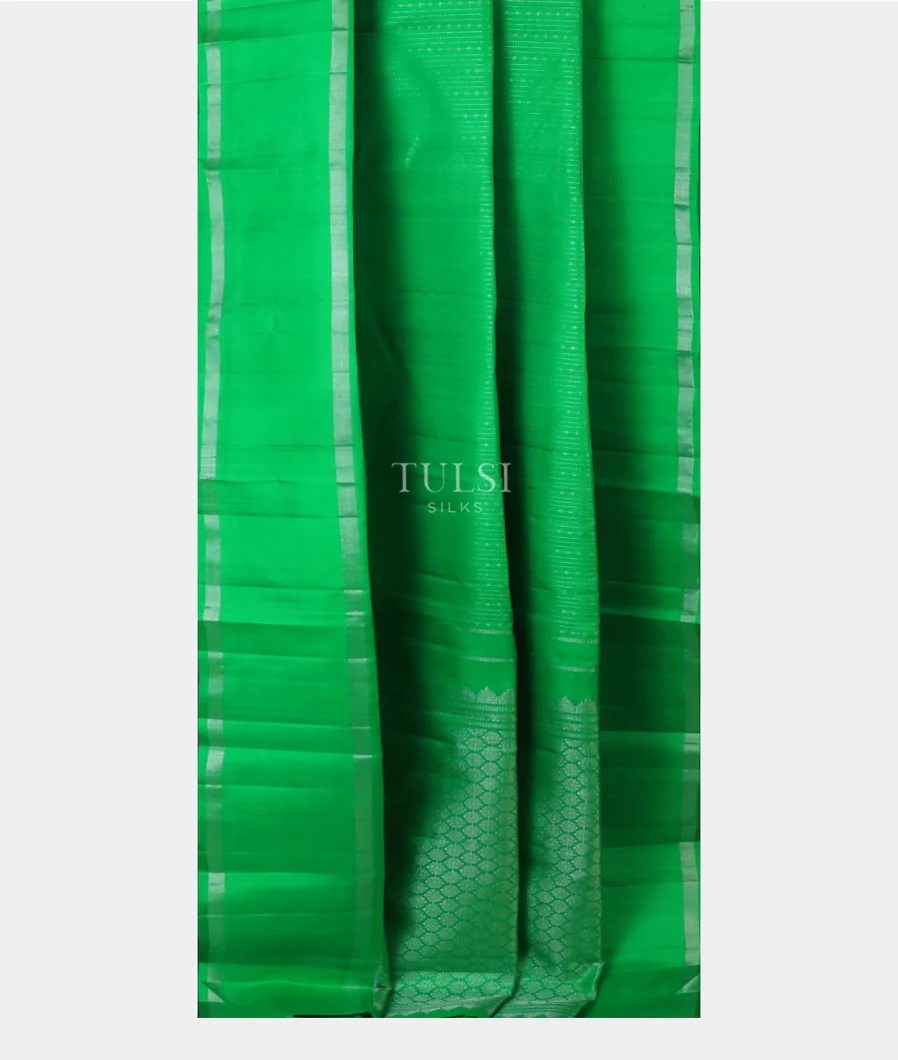 green-kanjivaram-silk-saree-t724880-t724880-b