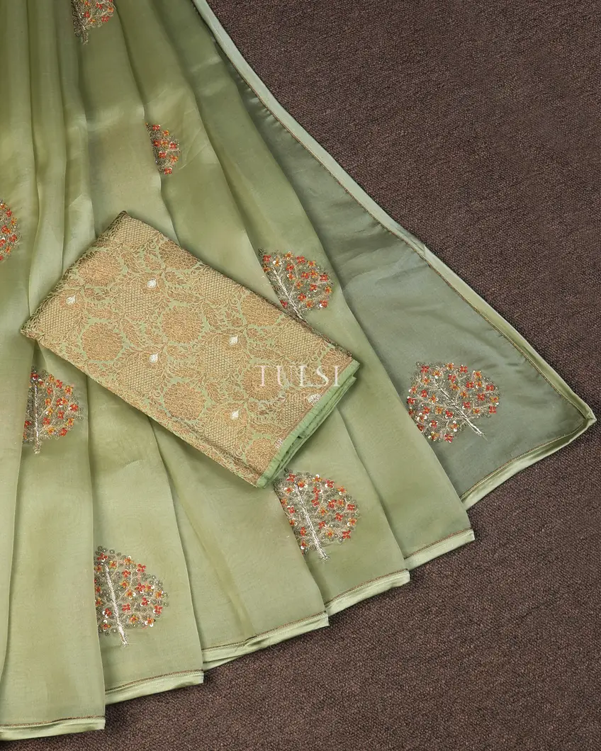 green-kora-organza-embroidery-saree-t724244-t724244-b