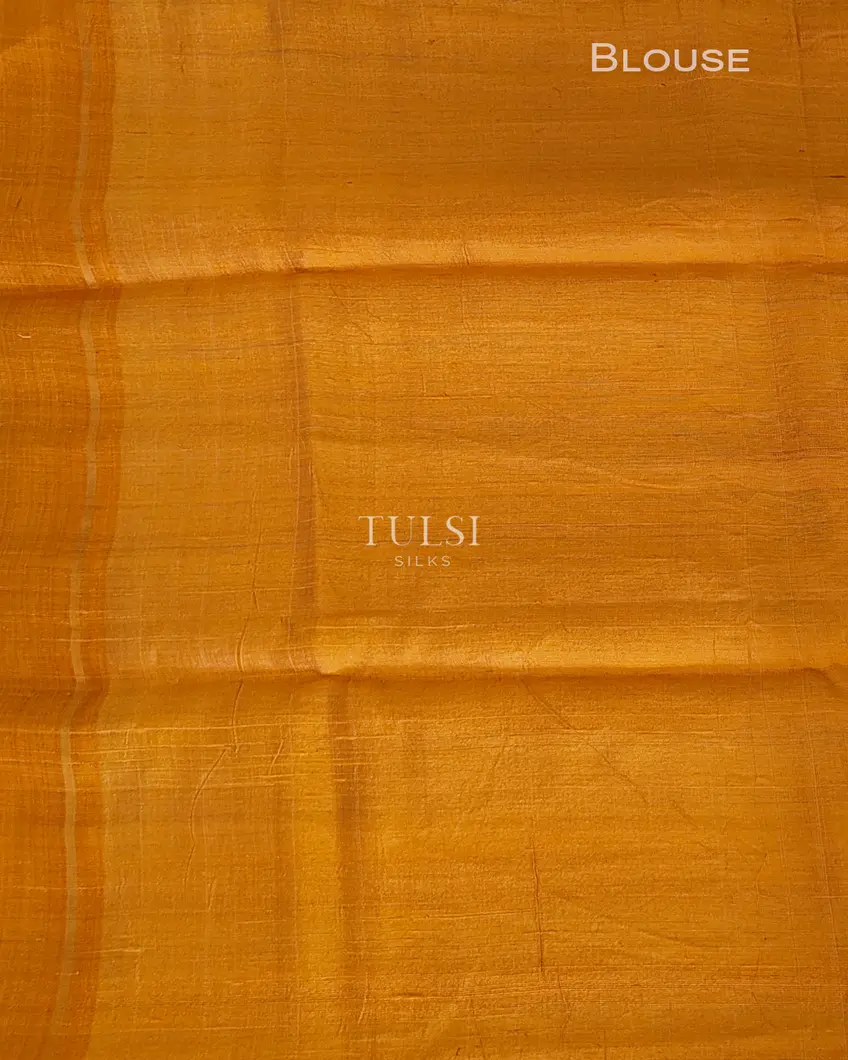 beige-tussar-printed-saree-t697353-t697353-c