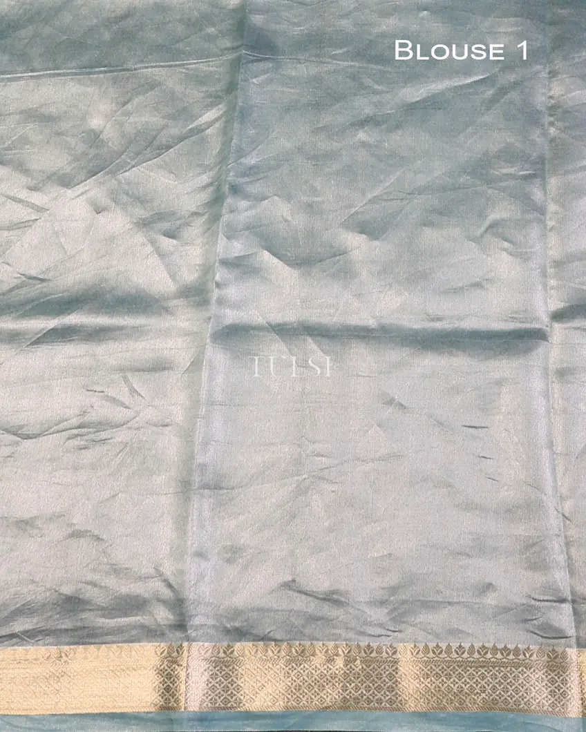 blue-woven-tissue-organza-saree-t725956-t725956-c
