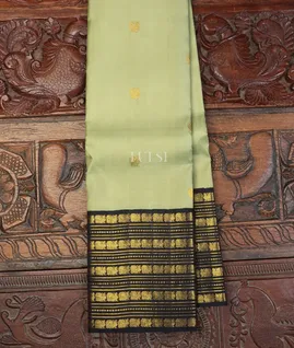 light-green-kanjivaram-silk-saree-t719735-t719735-a