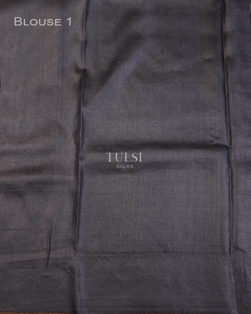 bluish-grey-tussar-embroidery-saree-t731988-t731988-c