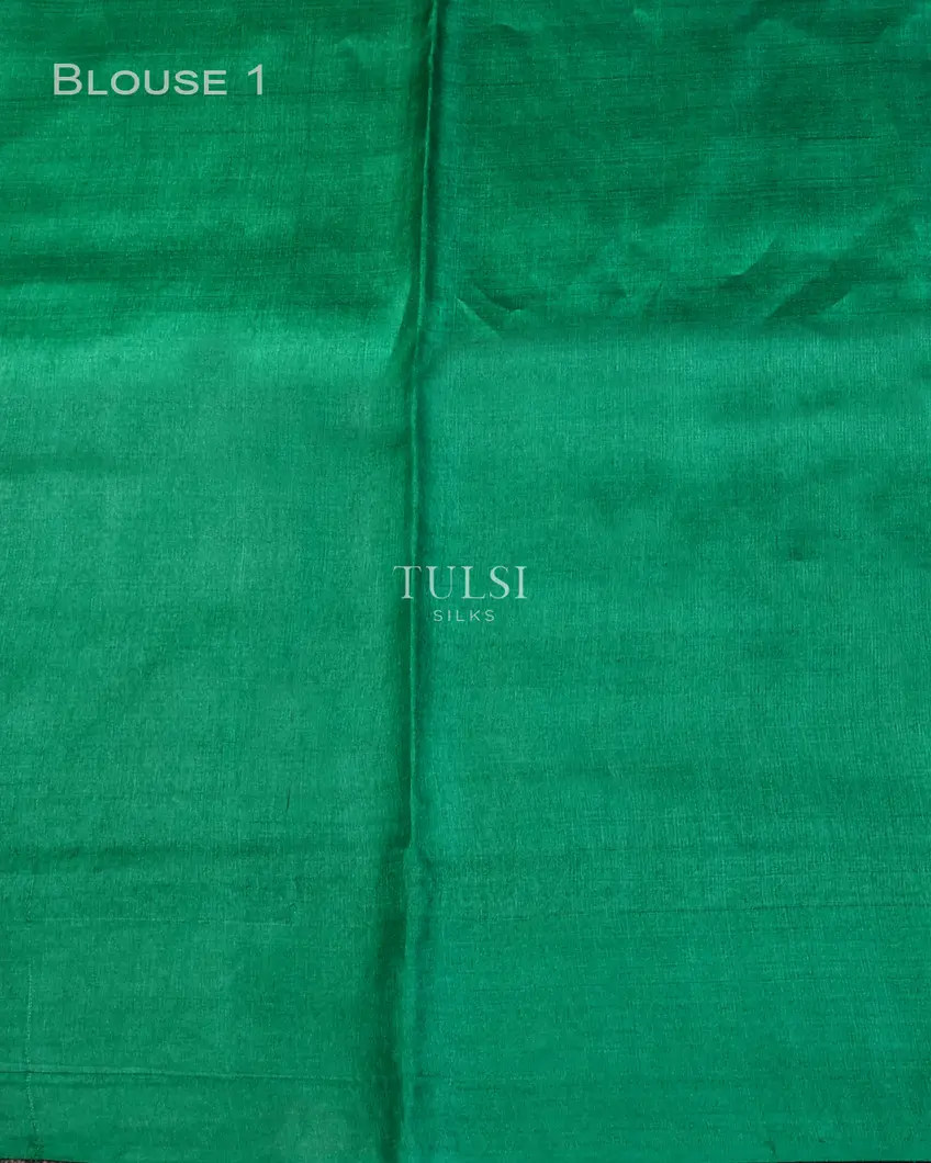 green-tussar-embroidery-saree-t731987-t731987-c