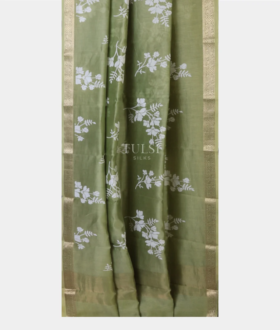 soft-printed-cotton-saree-t704699-t704699-b