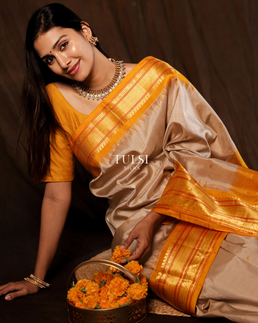 beige-gadwal-silk-saree-t732225-t732225-g