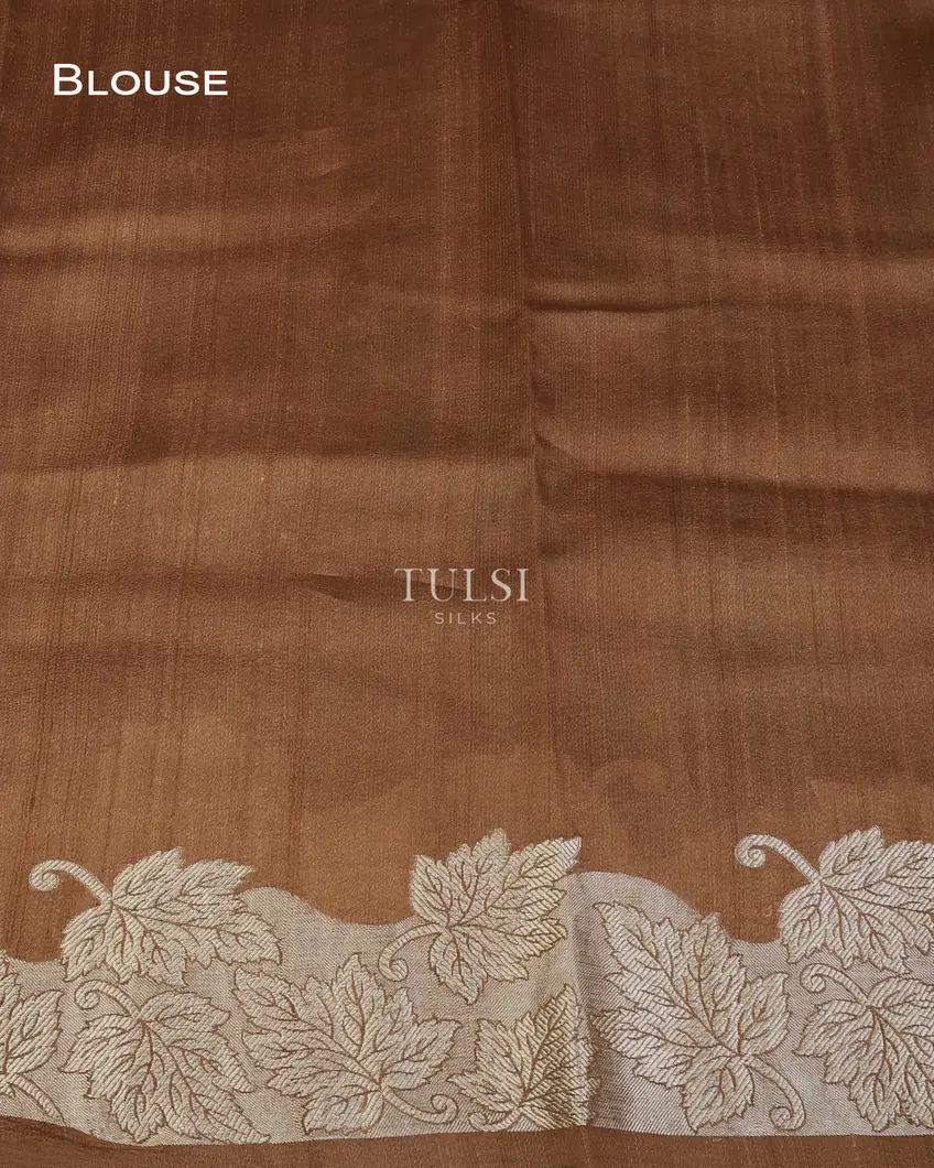 brown-tussar-printed-saree-with-woven-border-t733512-t733512-c
