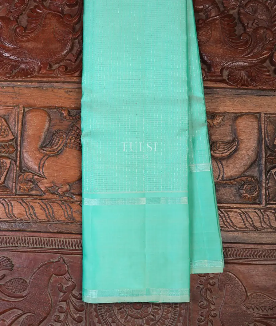 Light Bluish Green Kanjivaram Silk Saree T721842-image