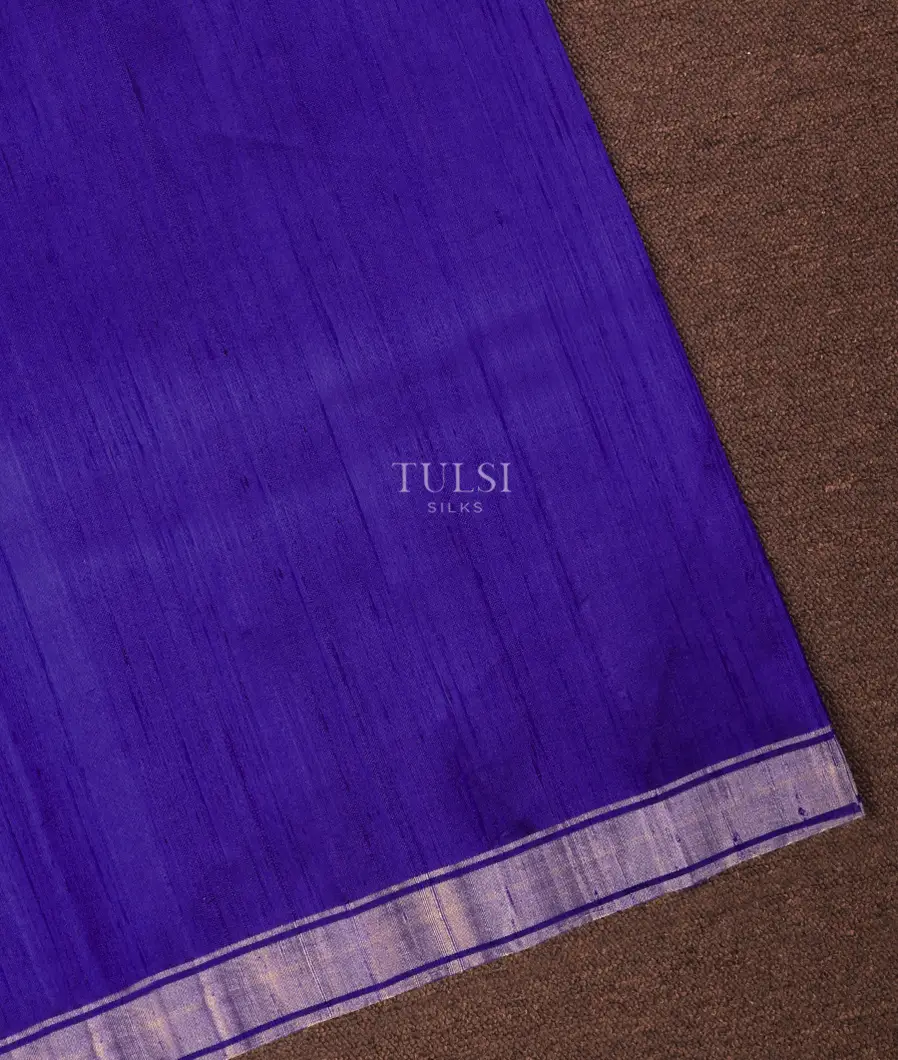 blue-woven-raw-silk-saree-t716583-t716583-a