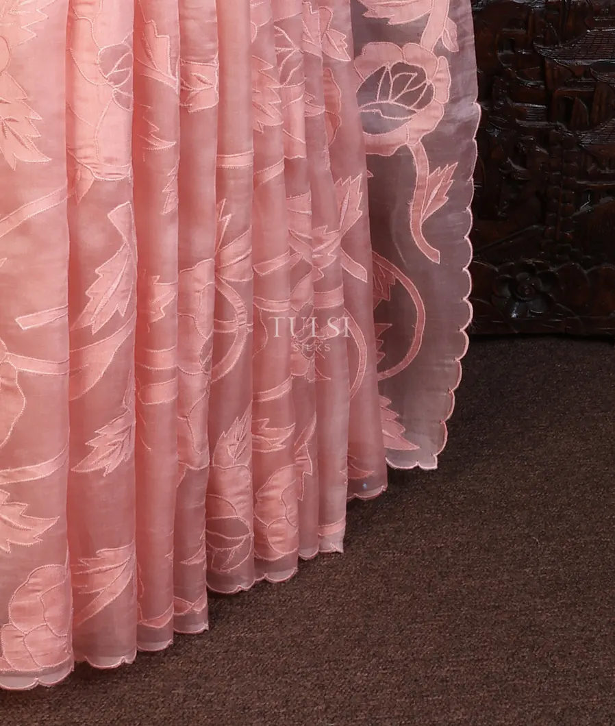 peach-kora-organza-embroidery-saree-t678146-t678146-b