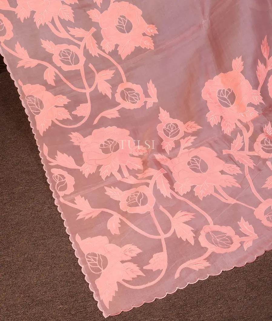 peach-kora-organza-embroidery-saree-t678146-t678146-d