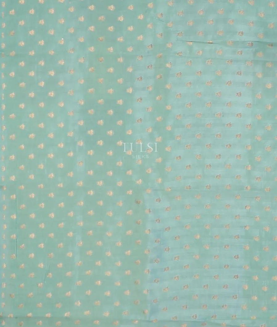 greenish-blue-banaras-tissue-organza-saree-t714441-t714441-c