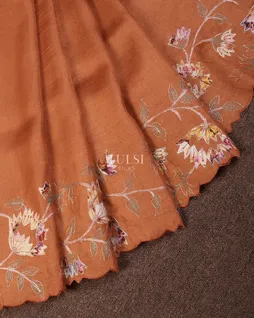 rust-tussar-embroidery-saree-t738872-t738872-b